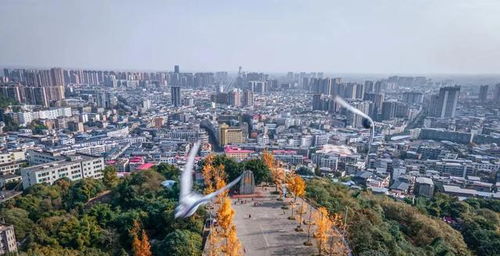 厉害 眉山又迎来一所高校 还是全日制本科院校哟