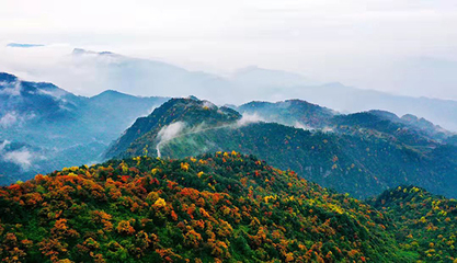 眉山洪雅:瓦屋山的秋天 缤纷的童话世界