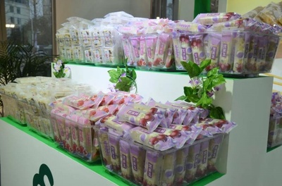 第十届中国泡菜食品国际博览会在眉山开幕 茂华食品受青睐