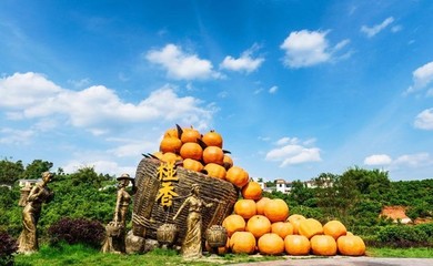 椪香万里!眉山市第二届晚熟柑桔节暨青神县第九届椪柑节开幕