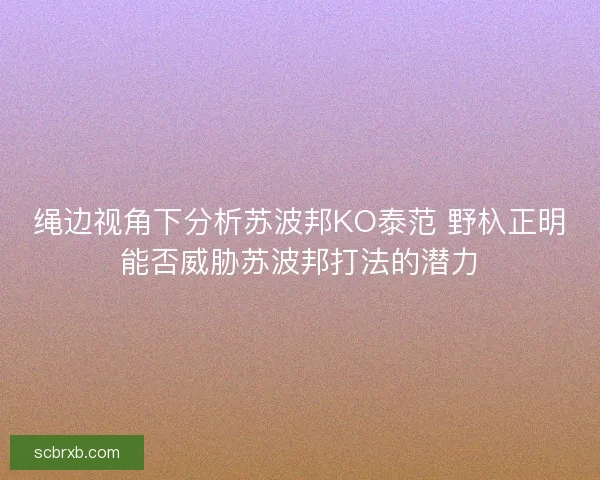 绳边视角下分析苏波邦KO泰范 野杁正明能否威胁苏波邦打法的潜力 绳边视角下分析苏波邦KO泰范 野杁正明能否威胁苏波邦打法的潜力